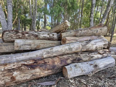 Landscaping logs per 100kg