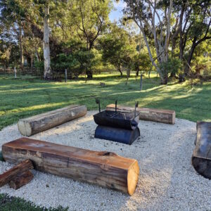 Fire Pit with log seats